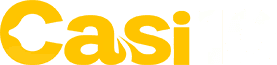 Casi10